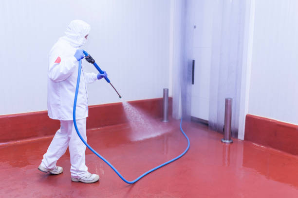 Best Boat and Dock Cleaning  in Dundee, OR
